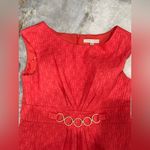 Sandra Darren  Vibrant Red Patterned Dress Photo 11