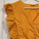 New York & Company NY&CO Orange Ruffled Eyelet Buttoned Blouse Large EUC #CA2417 Photo 2