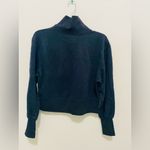Abercrombie & Fitch NWT  Turtle Nectar Sweatshirt Photo 1