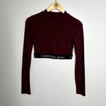 Calvin Klein  Maroon Logo Long Sleeve Crop Top Photo 3
