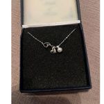 The Bradford Exchange Grandma’s Pearls Of Wisdom Silver .925 16” Chain & Pearl Photo 3