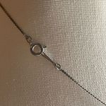 NEW Little Turtle Heart Photo 4