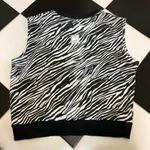 Oversized Sweater Vest Sleeveless Boxy Zebra Stripe Academia Collegiate Medium Multiple Photo 1