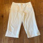 Eileen Fisher  white crop stretch cotton jean size large Photo 2