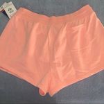 Champion Shorts Photo 1