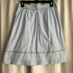 Lilly Pulitzer  Fayette Skirt Striped Delta Blue Peek A Boo Stripe Size 4 Vintage Photo 1