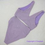Beach Riot New! Set! Free People Rib Dallas Emma bikini bottom lavender, size S Photo 2