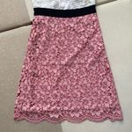 Sandro NWOT  two-tone lace dress with high neck Photo 4