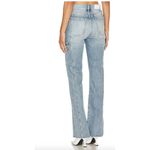 Pistola  Dana Cargo Jean Size 25 Photo 1