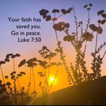 We The Free Free People Bohemian Feelin It Patchwork Oversized Slouchy Tee Top Small Photo 7