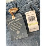 Democracy "Ab"solution "Curve Equality" Denim Shorts Women's Size 4 Photo 3