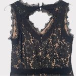 Heartloom Sienna Lace Fit and Flare Black Eyelash Mini Dress Size Medium NEW Photo 5