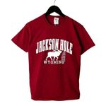 Urban Outfitters Jackson Hole Wyoming T Shirt Vintage Y2K Extra Small XS Red Graphic Tee Photo 1