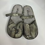 Alegria  snake skin print mary Jane mules gray cream‎ size 39 Photo 1