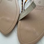 NWT J. Crew Capri Sandal Faux Tortoise Strap Summer Flip Flop Sandals Size 12 Tan Photo 7