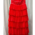 Hutch  Evi Strapless Plissé Gown Red Romantic Floral Size 14 W Plus NWT Gorgeous Photo 1