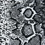 Boohoo  Snake Print Mini Dress C15 Photo 3