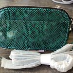 Aimee Kestenberg  Green Snake Embossed Leather Crossbody Bag with Silver Hardware Photo 1