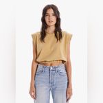 MOTHER The Swiper Crop Top In Bronze Mist 100% Cotton XL Tan Photo 2