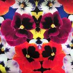 Om Shanti Leggings Large Live for Joy Floral Petunias Power Yoga Pants F… Photo 2