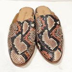 Madewell  The Frances Women's 7.5 Leather Spiced Cider Multi Loafer Mule Shoes Photo 1