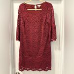 Garnet Hill  Burgundy Bell Sleeve Lace Overlay Cocktail Dress Size 04 Photo 2