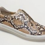 JSlides J/Slides Women’s Slip on Python Sneakers 6 Photo 0