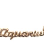 Aquarius Horoscope Letter Pendant Necklace Gold Photo 1