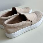 Steve Madden  Beige Suede Slip-On Sneakers Photo 0