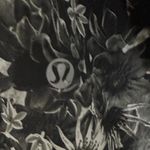 Lululemon  Bring Back The Track Jacket Flowabunga Black 2 Photo 7