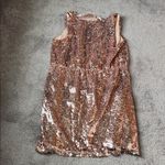 Apt. 9  Rose Gold Champagne Sequin Dress SIZE XL Photo 4
