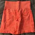 NVGTN NYGTN Shorts Photo 1