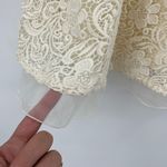 Lily Brown Lace Fit & Flare Dress Sz 0 Floral Crochet Romantic Glam Tulle Fairy Photo 10