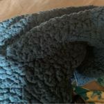 Eddie Bauer Quest Plush 1/2 Zip Sherpa Fleece Pullover Teddy Jacket Peacock L Photo 4