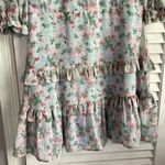 The Impeccable Pig  Dress Size Large Photo 2