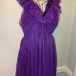Anthropologie  Maeve Ruffled Tulle Mini Dress deep Purple L Photo 3
