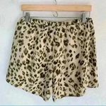 Heartloom NWT  M Tan Print Lined Shorts High Rise Photo 3