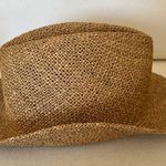 Classic Brown Fedora Hat Straw Photo 1