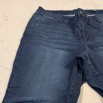 Kaari Blue  Curvy Dark Blue Skinny Ankle Denim Jeans size 14W Photo 2