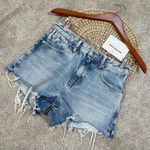 Alexander Wang NWT  Bite Zip High Rise Jean Shorts Cut Off in Pebble Bleach 25 Photo 0