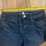 No Boundaries  size 7 Photo 7