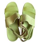 Vionic ‎ Sunrise Karleen Backstrap Platform Sandal 11 Lime Green Photo 2