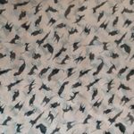 Cat Print Pink Black Chiffon Long Scarf Lightweight Wrap Whimsical Silhouettes Photo 8