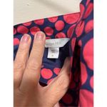 Garnet Hill  6 Blue Pink Polka Dot  A Line Full Skirt Photo 2