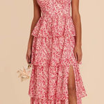 Birdy Grey  Lola Dress Chiffon Pink Dreamy Ditsy size xs Photo 0