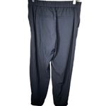 Banana Republic  Hayden Elastic Waist Pants Photo 2