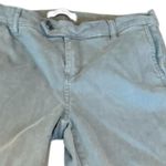 Lila Ryan Women's Pants Size 8 Green Casual Flat Front inseam 27 Photo 7