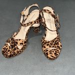 Chinese Laundry Cheetah Pumps Photo 0