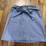 Francesca's Light Blue Skirt Photo 1