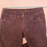 Esprit Chocolate Brown Bootcut Corduroys EUC Sz 8 Cotton Women’s Casual Photo 6